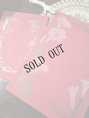 画像1: [再入荷] 「ダチュラ　赤」レターセット (1)